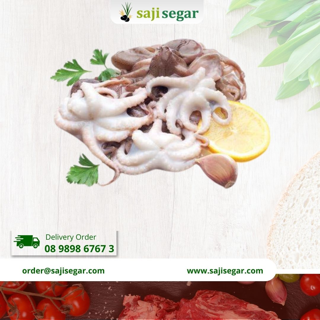 Baby octopus besar 1 kg isi 1 ekor | GURITA SEAFOOD BESAR fresh - 1 Ekor 1 kg